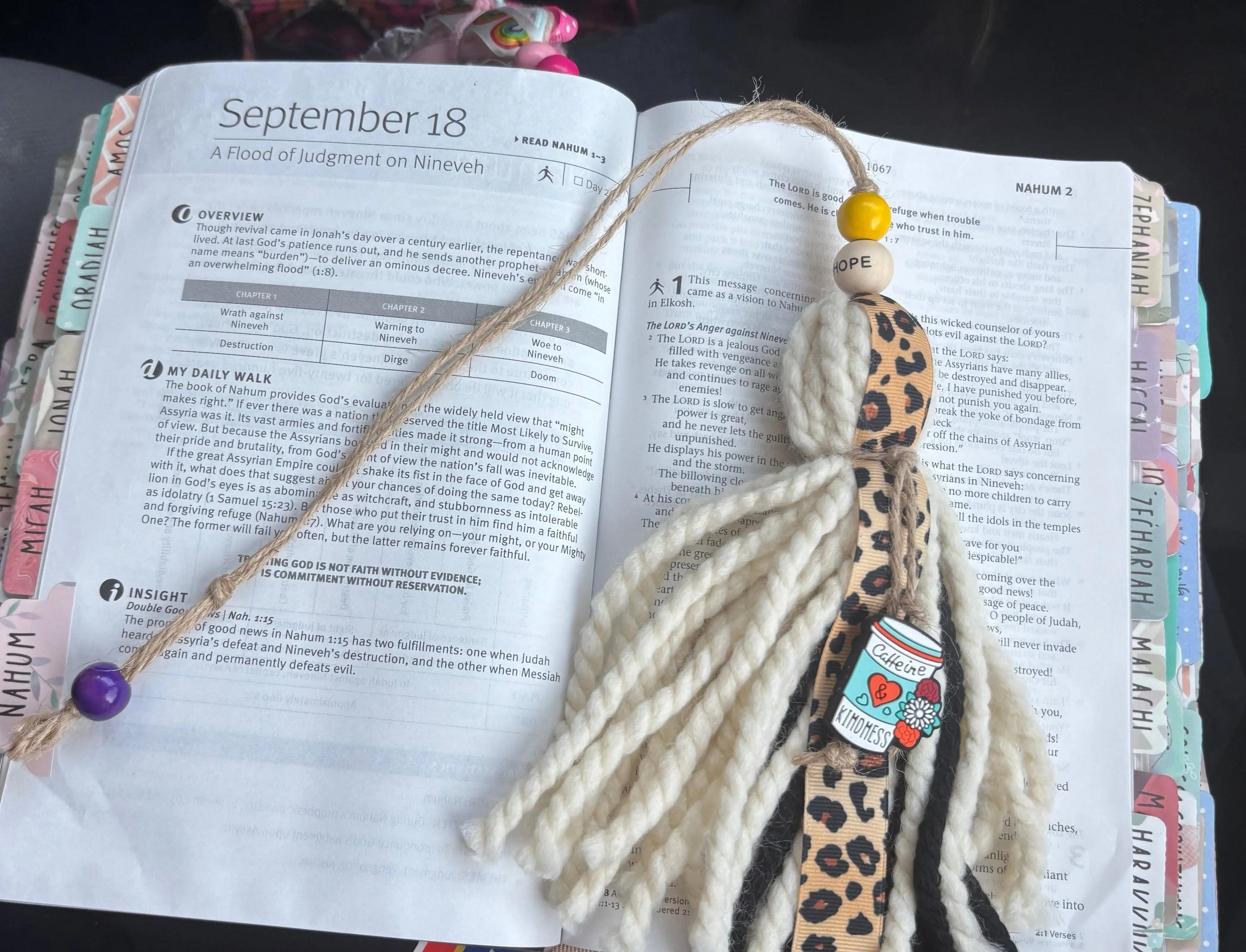 Leopard print tassel bookmark on a stack of books with a black background